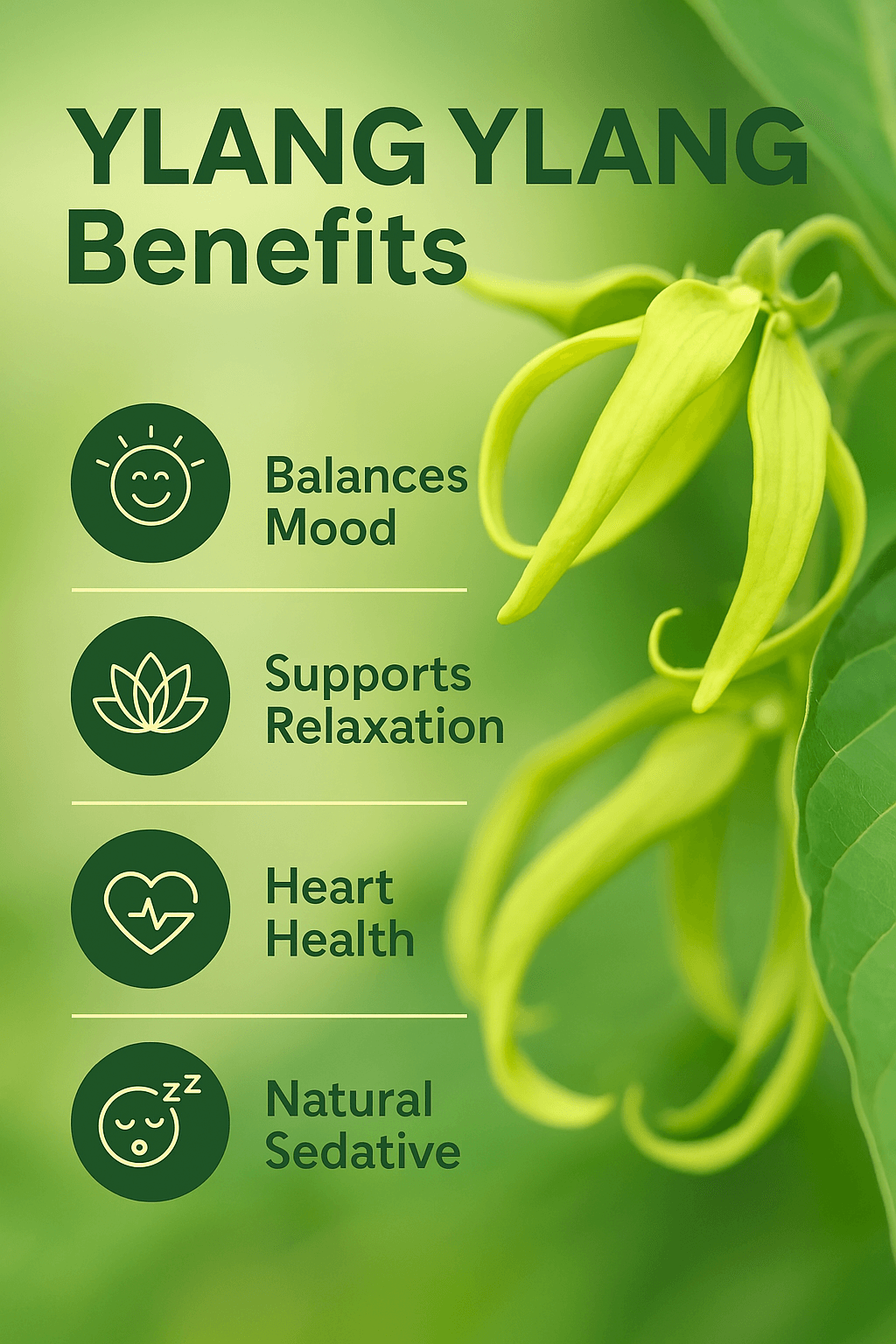 Ylang Ylang Pure Essential Oil